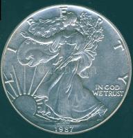 USA 1987. 1$ Ag "Liberty" 1oz. T:1/2+