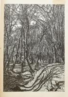 Gy. Szabó Béla: Hónapok. Gy. Szabó Béla (1905-1985) fametszetei. (DEDIKÁLT). (Kolozsvár, 1973), Daci...