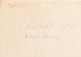 Erdélyi József (1896-1978) Baumgarten-díjas költő, ,,a 20. századi magyar költészet egyik legjelentő...