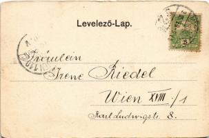 1905 Miskolc, Városház tér, Szlavkovszky üzlete. Lövy József fia (László Adolf) kiadása (szakadás / ...