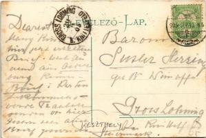 1905 Keszthely, Balaton part, Hullám és Balaton szálloda, csónakázók. Sujánszky József kiadása (fl)