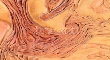 Garajszki József (1934-): Feltámadás. Bőrplasztika, jelezve jobbra lent. Hátoldalán Vizualart Alkotó...