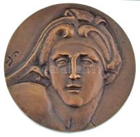 Farkas István Béla (1915-2005) DN "Michelangelo" kétoldalas bronz emlékérem (~86-88mm) T:A...