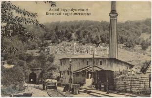 1910 Anina, Oravica-Anina, Oravita-Anina; Aninai vasúti hegyipálya részlet, Krassovai alagút áttekintettel, hajtány. Scheitzner Ig. kiadása / railway tunnel, hand car (EK)