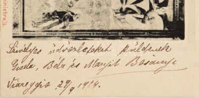 1904 Pisa, Bosányi Béla (1858-1919) fürdőorvos és családja által által Kézdi-Kovács Lászlóné, Kézdi-...