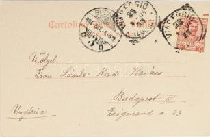 1904 Pisa, Bosányi Béla (1858-1919) fürdőorvos és családja által által Kézdi-Kovács Lászlóné, Kézdi-...