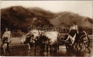 Romania, oxen cart with Romanian women, folklore. A. Bellu "Cartea Romaneasca" Bucuresti (fl)