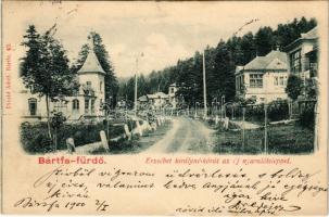 1900 Bártfafürdő, Bardejovské Kúpele, Bardiov, Bardejov; Erzsébet királyné körút az új nyaralóteleppel. Divald Adolf 40. / street, new holiday resort, villas