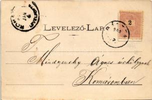 1900 Bártfafürdő, Bardejovské Kúpele, Bardiov, Bardejov; Erzsébet királyné körút az új nyaralótelepp...