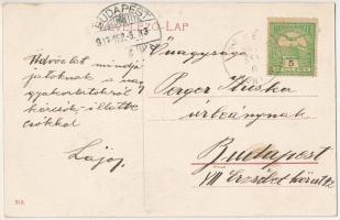 1907 Deménd, Demandice (Hont); Római katolikus templom, Özv. Madarászné villája, kastély, üzlet / ch...