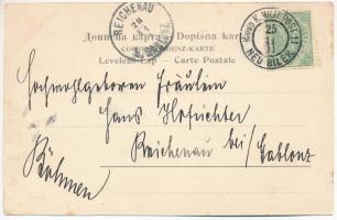 1901 Bileca, Bilek; Lutfo Hadzic + "K. und K. MILIT. POST NEU BILEK"