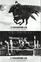 ,,A legszebb ló" című szovjet film jelenetei és szereplői, 15 db vintage produkciós filmfotó (vitrinfotó, lobbyfotó) ezüst zselatinos fotópapíron, a használatból eredő (esetleges) kisebb hibákkal, 18x24 cm