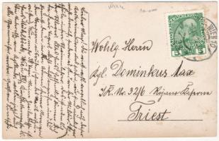 1912 Wien, Vienna, Bécs; Men's swimming team at the swimming pool. Franz Prohaska photo (EK)