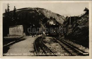 1933 Schneebergbahn, Station Baumgartner / Schneeberg cogwheel railway's Baumgartner station, train (EK)