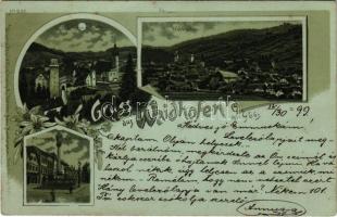 1899 (Vorläufer) Waidhofen an der Ybbs, Schloss u. Kirche, Mariensäule am ob. Stadtplatz / castle, church, general view, Mary's column, main square. Regel & Krug Art Nouveau, floral, litho (fl)