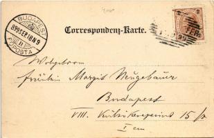 1899 (Vorläufer) Lasko, Tüffer; Kaiser Franz Josef-Bad, Bad Tüffer von der Rückseite, Speisesaal, Ve...