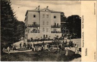 Szliács, Sliac; Hungária szálloda / hotel (felületi sérülés / surface damage)