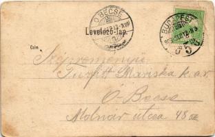 1903 Budapest XII. Zugliget, Szép Ilonka vendéglő, étterem kertje pincérekkel. Schwarz kiadása (EB)