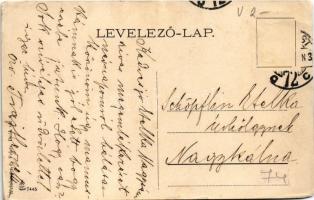 Budapest VII. Dr. Batizfalvy-féle szanatórium és vízgyógyintézet, oldalhomlokzat. Aréna út 82. (ma D...