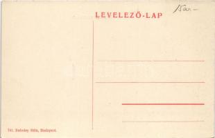 Budapest XIV. István úti szanatórium és vízgyógyintézet (a mai Ajtósi Dürer sor és Hungária körút sa...