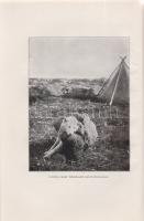 Leden, K (Christian):
Kjuvatin jégmezői. Fordította Mihalik László. 50 képpel, 16 táblán.
Budapest...