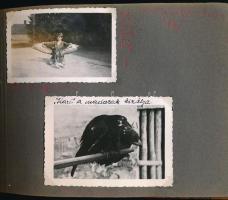 1942 Vadászalbum, vadászzsákmány, vadászmadarak, vadászok, stb., 59 db beragasztott, feliratozott fo...