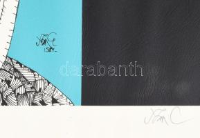 Szász Endre (1926-2003): Hölgy rókával. Szitanyomat, papír, jelzett. 42x59 cm. Lap széle kissé folto...