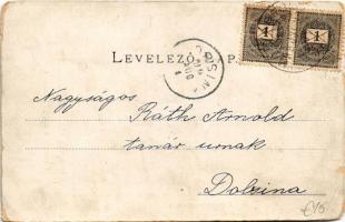 1899 (Vorläufer) Budapest XVI. Mátyásföld, Mihályfi nyaraló. Divald Károly (EB)