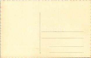 Alsólendva, Alsó-Lendva, Dolnja Lendava; Sokol ház (volt Levente Otthon) / Sokolski dom / Sokol buil...