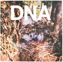 DNA - A Taste Of DNA. Vinyl, 12", 33 1/3 RPM, EP, American Clavé - 1003EP, NM