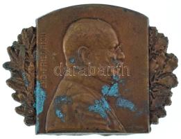 Osztrák-Magyar Monarchia 1915. &quot;FM. EHG. Friedrich&quot; Habsburg-Tescheni Frigyes főherceget ábrázoló aranyozott bronz jelvény. Szign.: Rudolf Ferdinand Marschall (32x42mm) T:AU lekopott aranyozás, patina