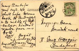 1907 Kaposvár, Széchenyi tér, piac, Erzsébet szálló, Geiszler Nep. János üzlete. Hagelmann Károly ki...