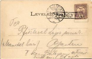 1900 Bodrogolaszi, Özv. Stefánia trónörökösné új lakhelye, kastélya. Wlaszlovits Gusztáv és Hajts K....