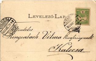 1903 Magyarkanizsa, Ókanizsa, Ó-Kanizsa, Stara Kanjiza; Haynald leánynevelő intézet. Bruck P. Pál ki...