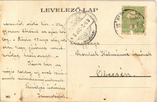 1906 Nagykikinda, Kikinda; Városház. Angner A. dohány nagy és különlegességi áruda, Pentz Miklós üzl...