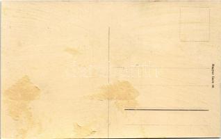 Budapest II. Rózsadomb, Miskolczy villa. Zárda utca 44. (ma Rómer Flóris utca) Magyar Imre kiadása (...