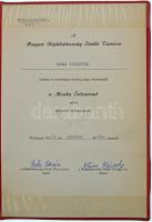 1967. "A Magyar Munka Érdemrend ezüst fokozata" ezüstözött, zománcozott bronz kitüntetés m...