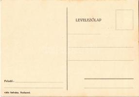 Anyám, én nem ilyen lovat akartam. Kézzel rajzolt és színezett katonai művészlap / Hungarian hand-dr...