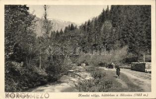 Kőrösmező Kevele valley and the Bliznica mountain