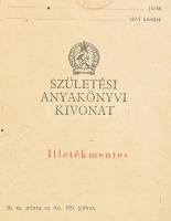 1940 Magyar Királyság fényképes útlevél, jugoszláv vízummal és bélyegzésekkel + 1954 szül. anyakönyv...