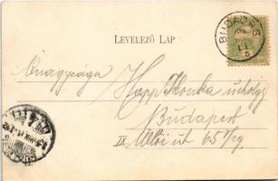 1905 Budapest XI. Kamaraerdő, Kamara-Erdő; vendéglő, Józsa lak, Villa Mártha, Ludwig Höhe, erdő rész...