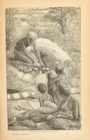 Christmann, Fr.: Australien: Geschichte der Entdeckungsreisen und der Kolonisation. Bilder aus dem L...