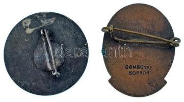 DN "Dobó István Gimnázium, Szakközépiskola" bronz iskolajelvény (25mm) + ~1933. "Eger...