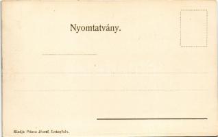 Leányfalu, látkép. Princz József kiadása