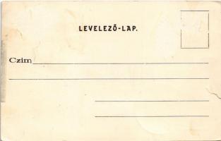 Szentendre, Szent-Endre; tájkép templomokkal, szőlészet. Pálfy János kiadása (szakadás / tear)