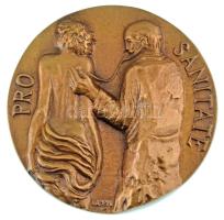 Kampfl József (1938- ) 1996. "Pro Sanitate" bronz emlékérem, eredeti tokban, adományozói okirattal (96mm) T:AU