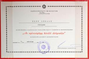 1977. "Az Egészségügy Kiváló Dolgozója" műgyantás bronz kitüntető jelvény eredeti dísztokb...