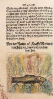 [Alkímia] (Johann Isaac Hollandus) Johannis Isaci Hollandi: Geheimer und biß dato verborgen gehalten...