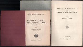 Ernyes József: A Pray-kódex termőhelye, és eredeti rendeltetése Bp., 1927. Stephaneum. 20p. Kiadói p...
