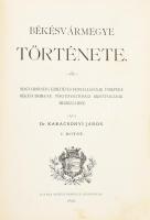 Karácsonyi János: Békésvármegye története. I. kötet. Magyarország ezredéves fennállásának ünnepére B...